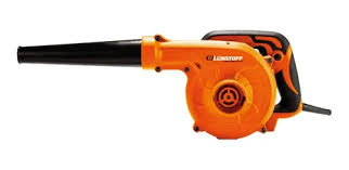 Elec-Sen 10